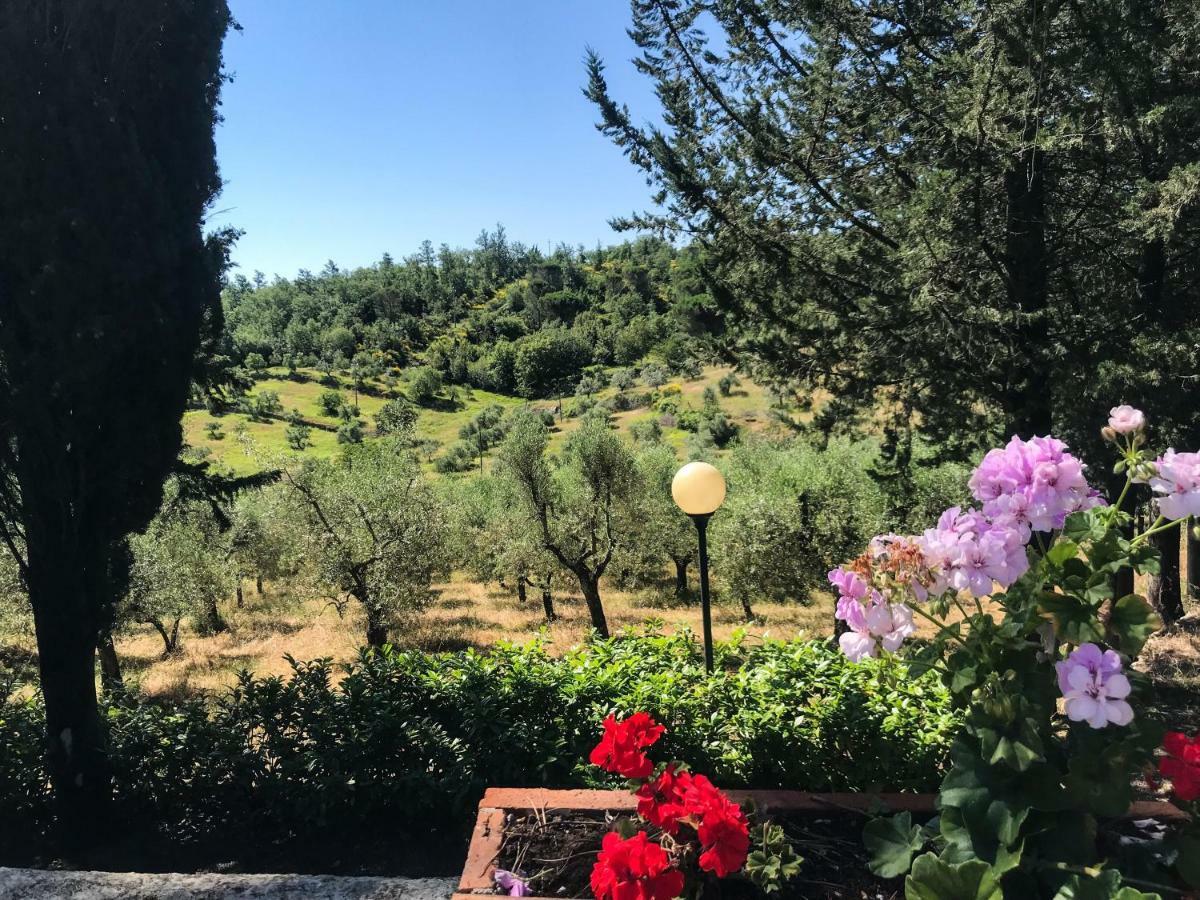 Agriturismo Testalepre Greve in Chianti Exterior foto